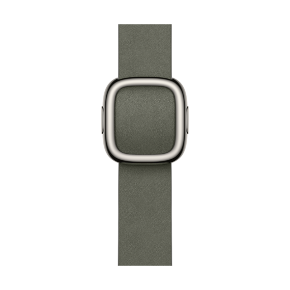 42mm Sage Gray Modern Buckle - Small