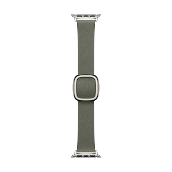 42mm Sage Gray Modern Buckle - Small
