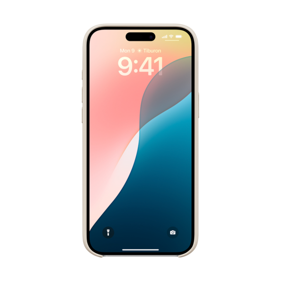 ЧОХОЛ BEATS IPHONE 16 PLUS CASE STONE-USA