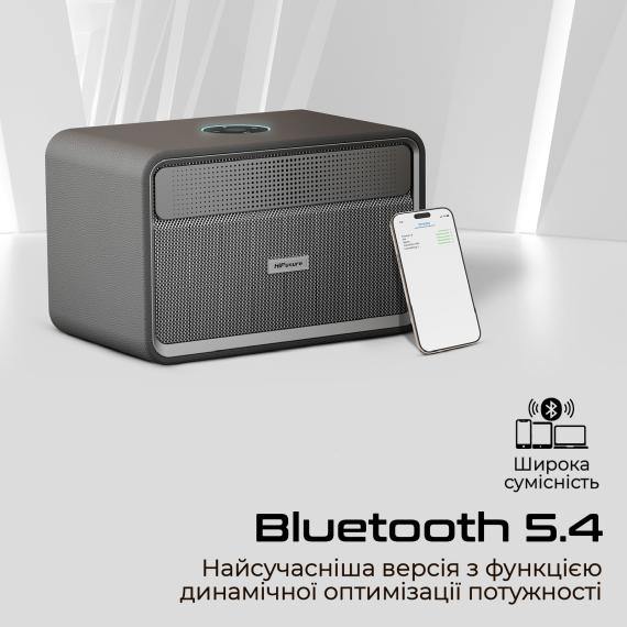 Портативна бездротова колонка HiFuture passion-x.black