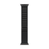 РЕМІНЕЦЬ ДЛЯ ГОДИННИКА APPLE WATCH 49 BLACK B TI ALP M-ZML