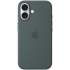 iPhone 16 Silicone Case with MagSafe - Lake Green,Model A3313